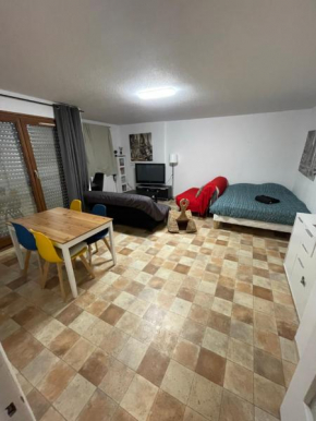 Le spacieux proche centre ville